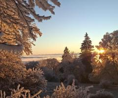 Лечение и диагностика - Изображение 2